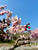 蚊里田八幡宮の{uncategorized: "未分類", other: "その他", undefined: "問題あり", building: "その他建物", grave: "お墓", sacred_gate: "鳥居", guardian: "狛犬", statue: "像", buddha: "仏像", history: "歴史", nature: "自然", garden: "庭園", animal: "動物", pagoda: "塔", temizu: "手水舎", mountain_gate: "山門・神門", sanctuary: "本殿・本堂", subordinate: "末社・摂社", art: "芸術", scenery: "景色", jizo: "地蔵", ema: "絵馬", goshuin: "御朱印", omikuji: "おみくじ", items: "授与品その他", amulet: "お守り", goshuincho: "御朱印帳", eats: "食事", festival: "お祭り", votive_dance: "神楽", shichigosan: "七五三参", wedding: "結婚式", experience: "体験その他", initially: "初詣", around: "周辺", anti_infection: "感染症対策"}