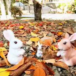彌彦神社 (伊夜日子神社)の像(2023年10月21日(土) 11時12分48秒投稿)