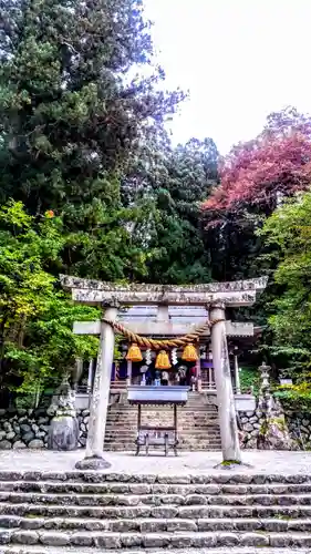 白川八幡神社の鳥居