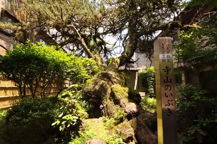 延光寺(高知県)