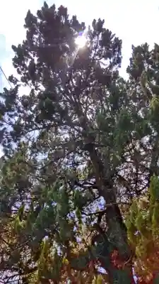 厄神社(岡山県)