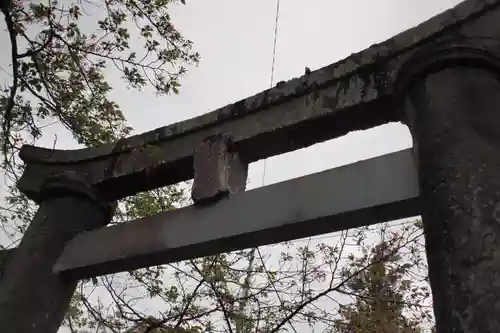 御崎神社の鳥居