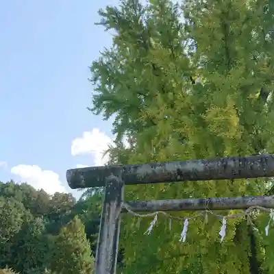 丹生酒殿神社の鳥居
