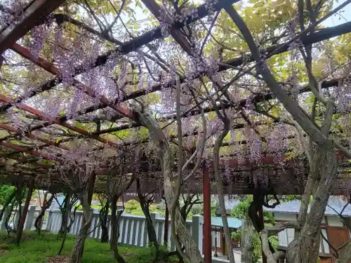 伊豫稲荷神社(愛媛県)