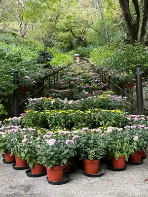 長谷寺(奈良県)