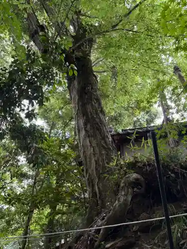 鷺神社(広島県)