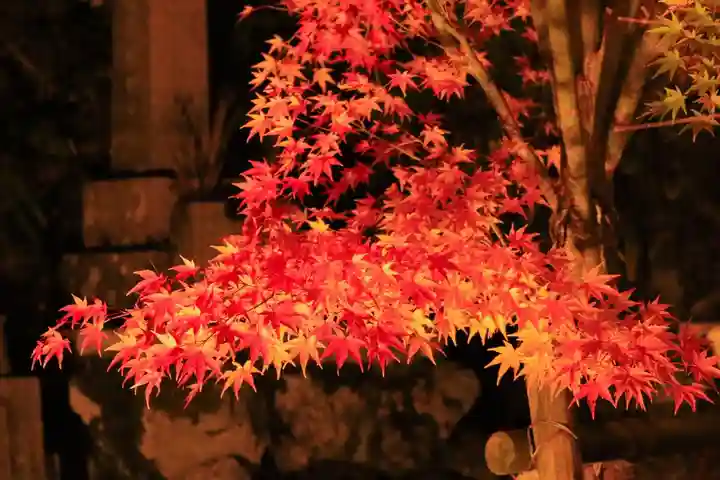 正寿院(京都府)
