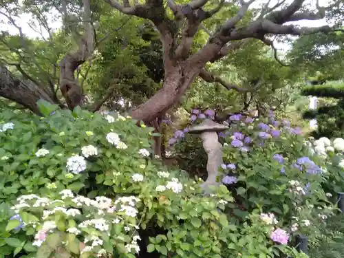 二十三夜尊 桂岸寺の自然