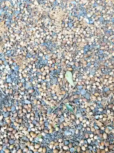 伊古乃速御玉比売神社の{uncategorized: "未分類", other: "その他", undefined: "問題あり", building: "その他建物", grave: "お墓", sacred_gate: "鳥居", guardian: "狛犬", statue: "像", buddha: "仏像", history: "歴史", nature: "自然", garden: "庭園", animal: "動物", pagoda: "塔", temizu: "手水舎", mountain_gate: "山門・神門", sanctuary: "本殿・本堂", subordinate: "末社・摂社", art: "芸術", scenery: "景色", jizo: "地蔵", ema: "絵馬", goshuin: "御朱印", omikuji: "おみくじ", items: "授与品その他", amulet: "お守り", goshuincho: "御朱印帳", eats: "食事", festival: "お祭り", votive_dance: "神楽", shichigosan: "七五三参", wedding: "結婚式", experience: "体験その他", initially: "初詣", around: "周辺", anti_infection: "感染症対策"}