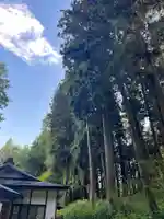 大宮温泉神社(栃木県)