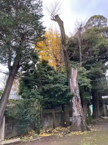 高円寺天祖神社(東京都)
