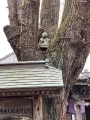 常楽寺(徳島県)