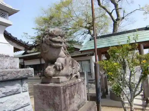 白子神社の狛犬