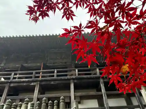 一乗寺(兵庫県)