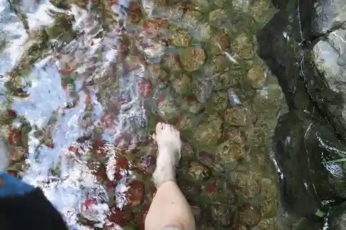 賀茂御祖神社（下鴨神社）(京都府)