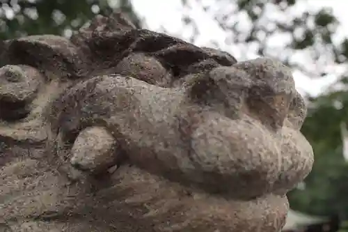 鎮守氷川神社の狛犬