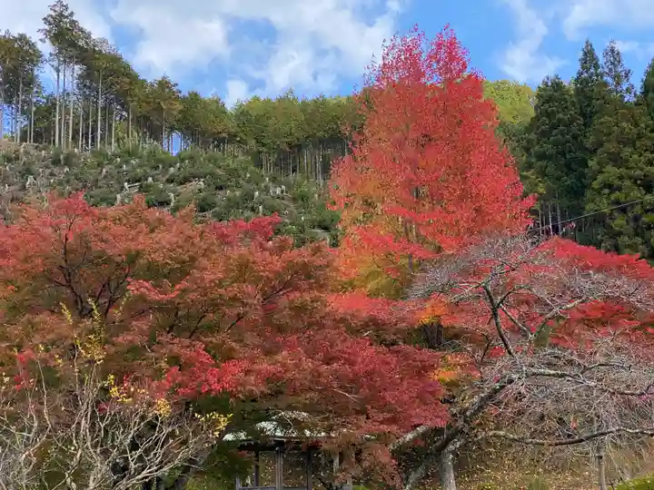 高蔵寺(兵庫県)