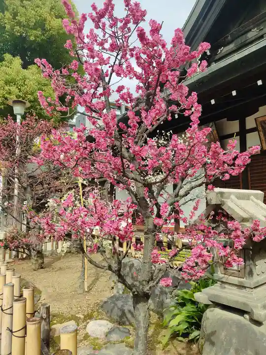 大阪天満宮(大阪府)