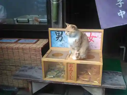 縣主神社の動物