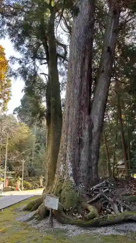 岡高神社(滋賀県)