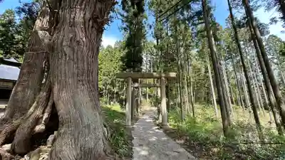 円光寺(山形県)