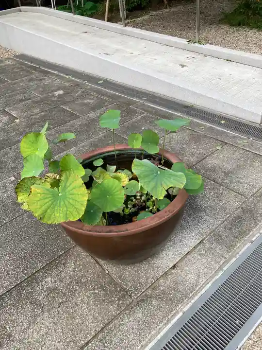 布多天神社のその他建物