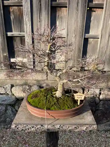 龍泉庵(京都府)