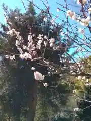 大善寺(神奈川県)