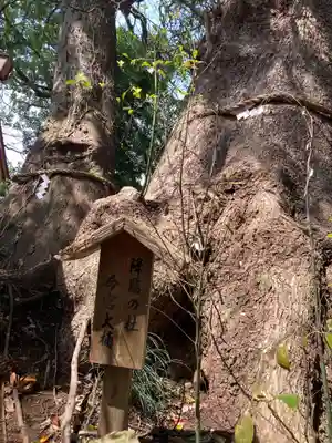 今宮神社(静岡県)