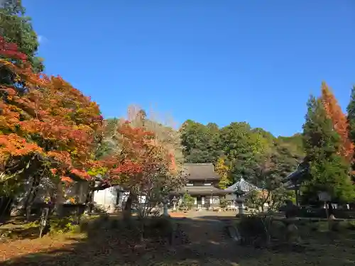天寧寺(京都府)