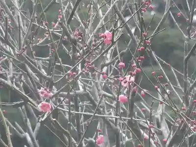 光則寺(神奈川県)
