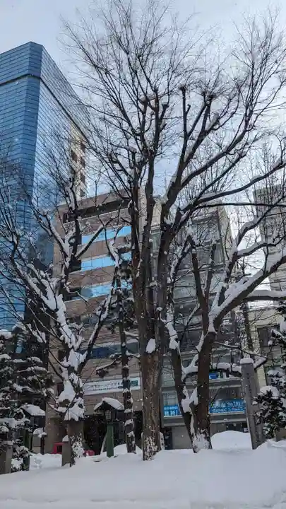 三吉神社の自然