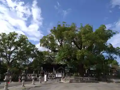 下庄八幡神社のその他建物