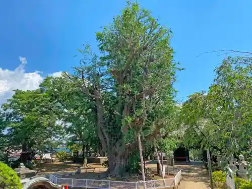 千葉寺(千葉県)