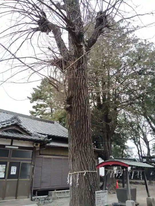 稲荷神社(群馬県)