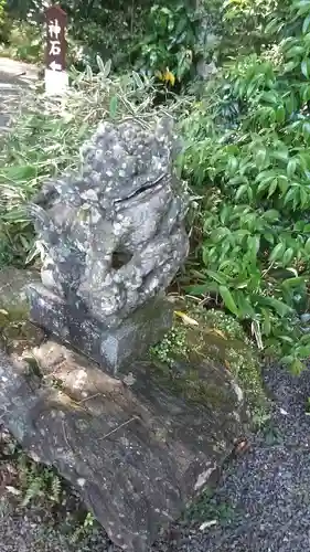 東霧島神社の狛犬