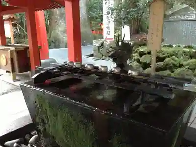 箱根神社の手水舎