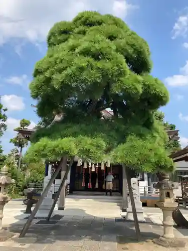 高靇神社(千葉県)