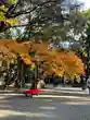 春日神社の建物その他