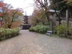 長谷寺の塔