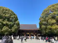 明治神宮(東京都)