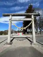 鷲宮神社(栃木県)