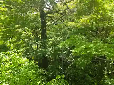 善水寺(滋賀県)