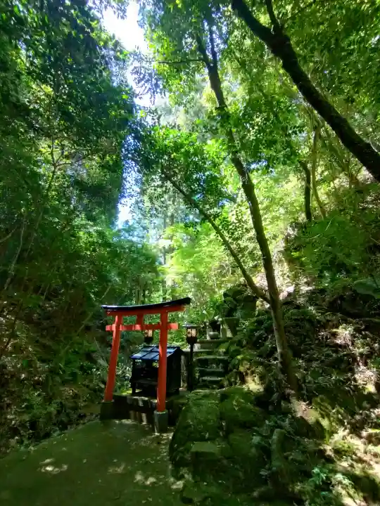 霊山寺の{uncategorized: "未分類", other: "その他", undefined: "問題あり", building: "その他建物", grave: "お墓", sacred_gate: "鳥居", guardian: "狛犬", statue: "像", buddha: "仏像", history: "歴史", nature: "自然", garden: "庭園", animal: "動物", pagoda: "塔", temizu: "手水舎", mountain_gate: "山門・神門", sanctuary: "本殿・本堂", subordinate: "末社・摂社", art: "芸術", scenery: "景色", jizo: "地蔵", ema: "絵馬", goshuin: "御朱印", omikuji: "おみくじ", items: "授与品その他", amulet: "お守り", goshuincho: "御朱印帳", eats: "食事", festival: "お祭り", votive_dance: "神楽", shichigosan: "七五三参", wedding: "結婚式", experience: "体験その他", initially: "初詣", around: "周辺", anti_infection: "感染症対策"}