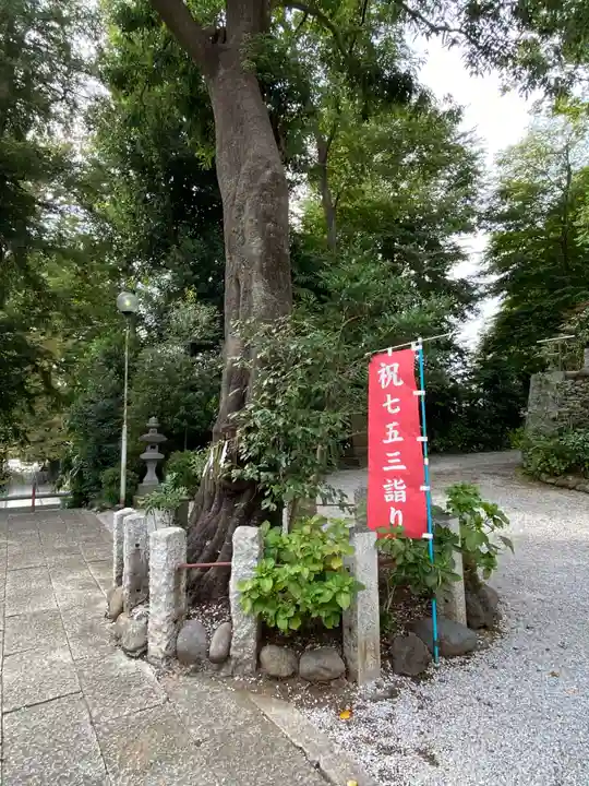 所澤神明社の自然
