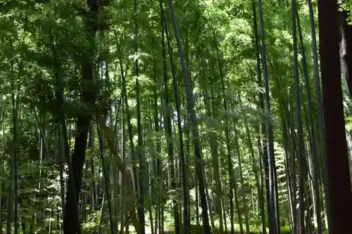 石清水八幡宮の自然
