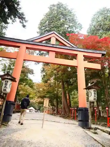 日吉大社の鳥居