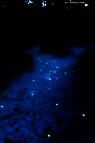 川越氷川神社(埼玉県)