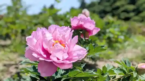 金蛇水神社の自然