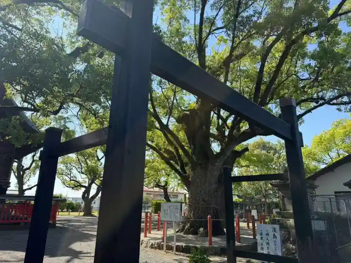 美奈宜神社(福岡県)
